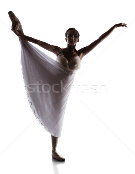 Female ballet dancer Stock photo © handmademedia