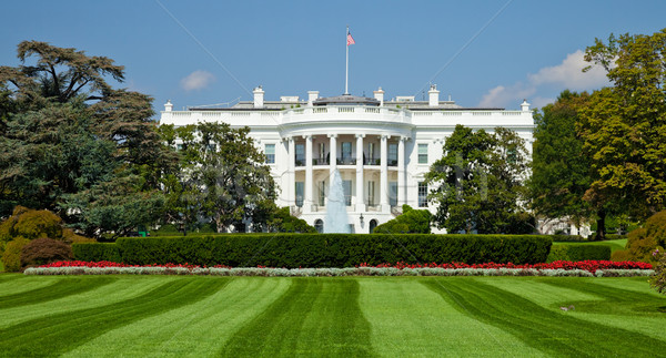 Fehér ház Washington DC dél kapu épület város Stock fotó © hanusst