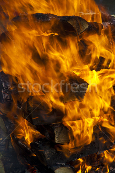 Camp fire burning in the night  Stock photo © hanusst