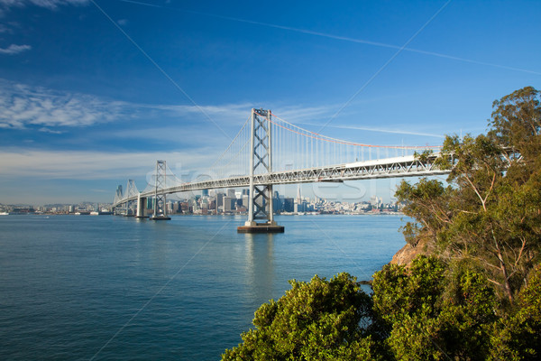 San Francisco City Panorama and Bay Bridge Stock photo © hanusst