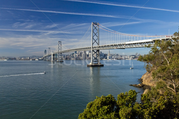 San Francisco Panorama Stock photo © hanusst