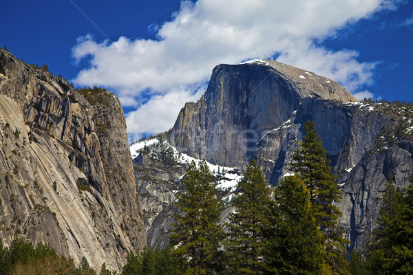 Yosemite national park Stock photo © hanusst