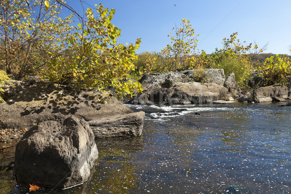 Potomac River in the Autumn Stock photo © hanusst