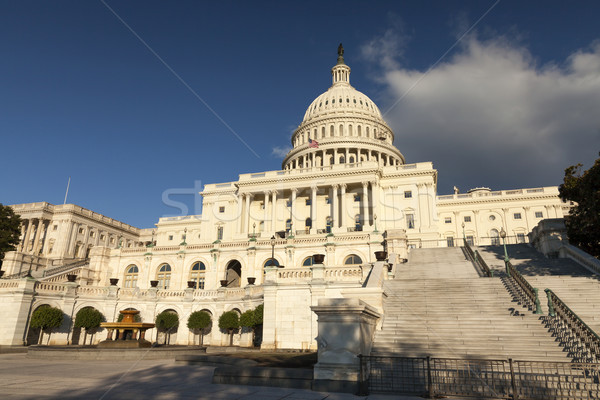 The US Capitol Stock photo © hanusst
