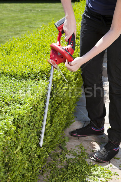 Personne main mur travaux domaine [[stock_photo]] © hanusst