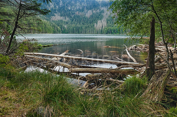 Glacial Devil`s Lake surrounded by the forest Stock photo © hanusst