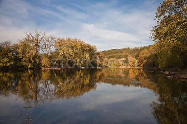 Trees reflecting in the Shenandoah River Stock photo © hanusst