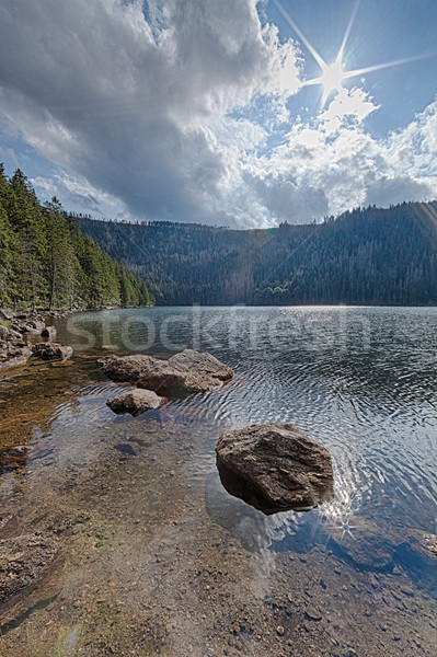 Schwarz See Wald Süden Wasser Baum Stock foto © hanusst