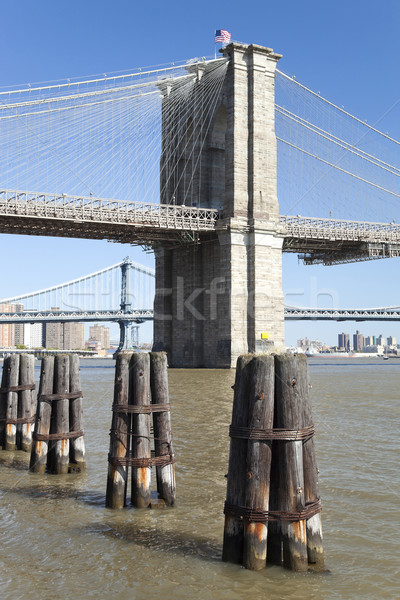 New York Brooklyn Bridge Stock photo © hanusst