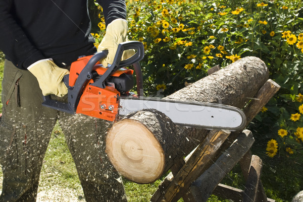 The chainsaw Stock photo © hanusst