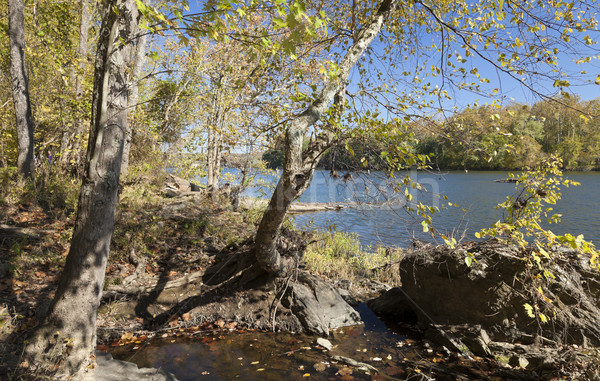 Rivier najaar Virginia USA boom achtergrond Stockfoto © hanusst