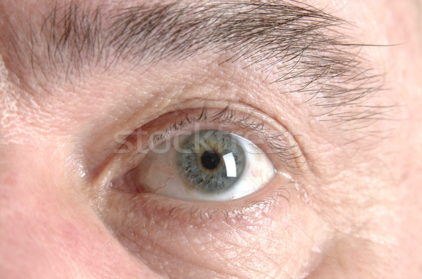 Beautiful male eye Stock photo © hanusst