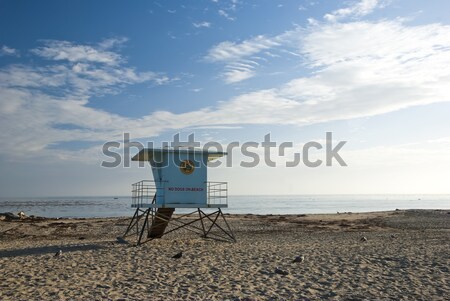 The beach Stock photo © hanusst