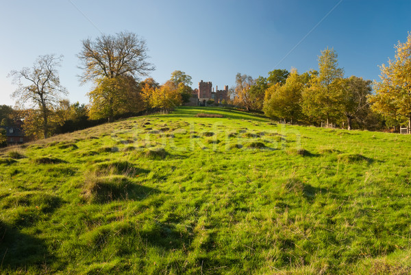 Large pastureland in Wales Stock photo © hanusst