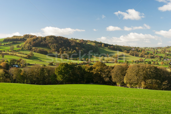 Large pastureland in Wales Stock photo © hanusst