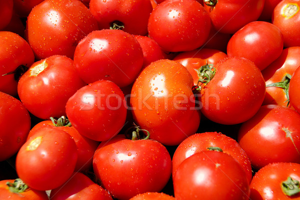 A pile of dewily red tomatoes Stock photo © hanusst