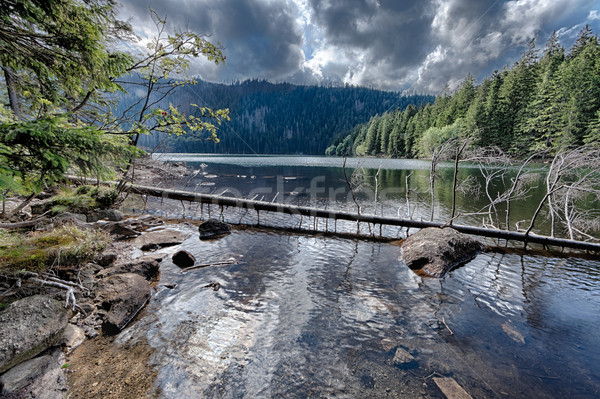 Glacial Black Lake surrounded by the forest Stock photo © hanusst
