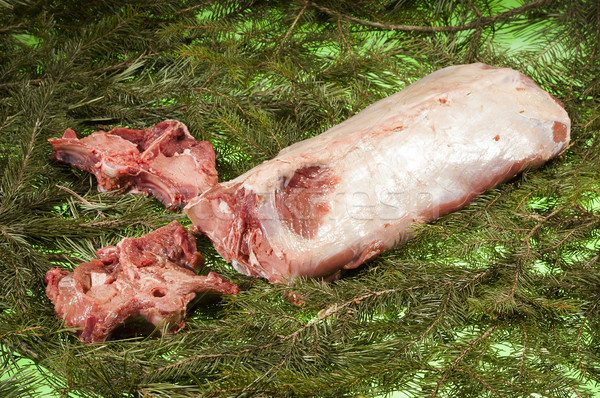 Friss vesepecsenye lucfenyő ág test hús Stock fotó © hanusst