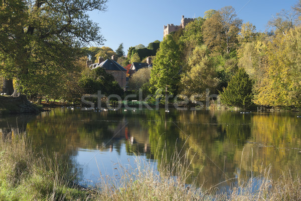 The English homestead with the pond  Stock photo © hanusst