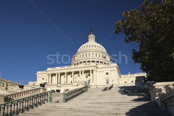 The US Capitol Stock photo © hanusst