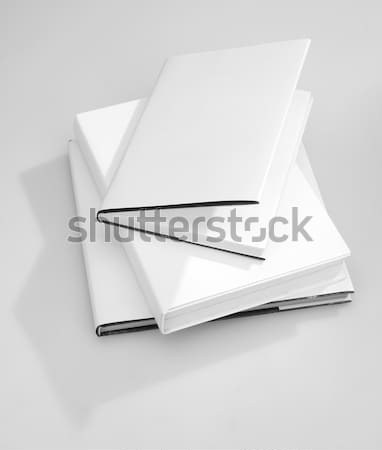 Libro blanco cubrir oficina Foto stock © hanusst