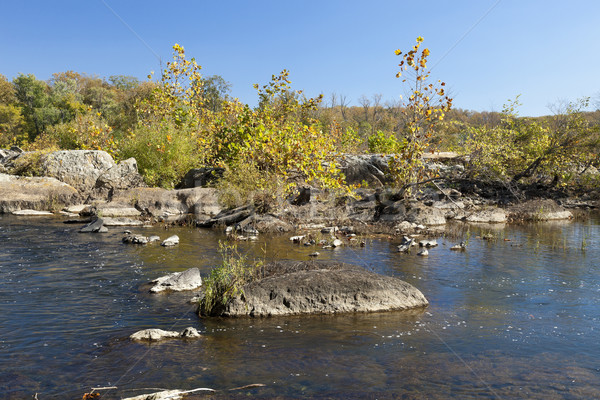 Potomac River in the Autumn Stock photo © hanusst