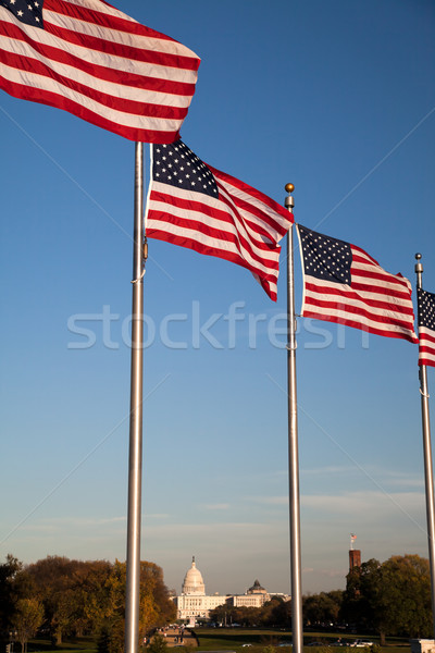 The US Capitol and US Flags Stock photo © hanusst