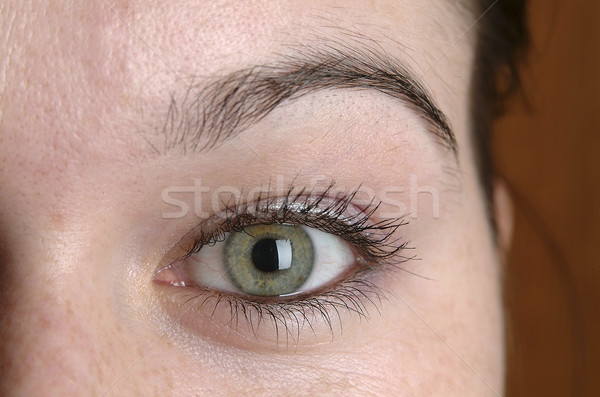 Beautiful female eye Stock photo © hanusst