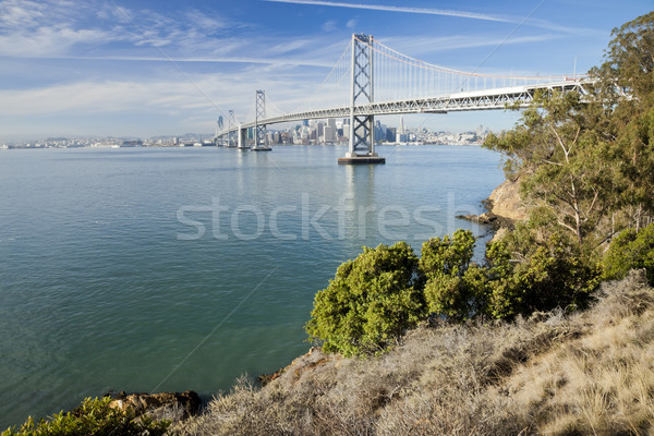 San Francisco and Bay bridge Stock photo © hanusst