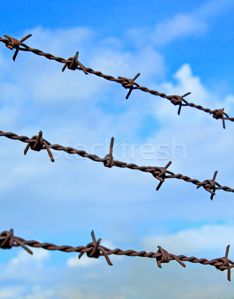 barbed wires against blue sky Stock photo © happydancing