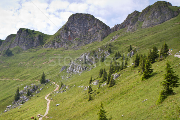 Rotwand mountains in Bavaria Stock photo © haraldmuc