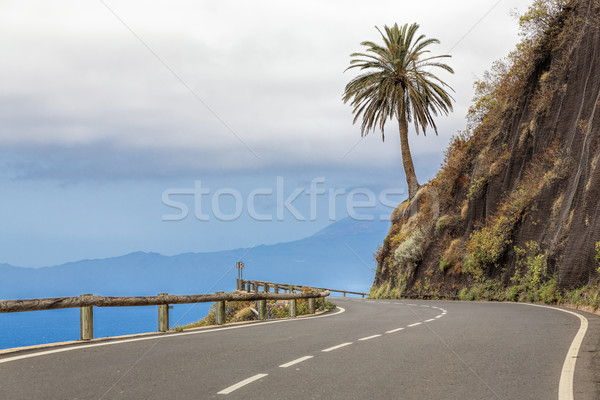 Country road on Gomera island, Spain Stock photo © haraldmuc