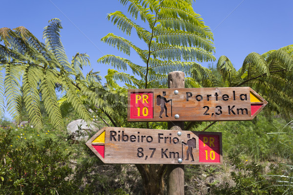 Signpost in Madeira's (Portugal) bush Stock photo © haraldmuc