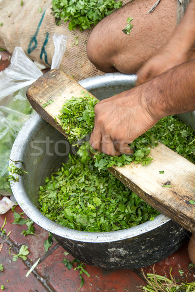 Stock photo: Cutting coriander in Delhi, India