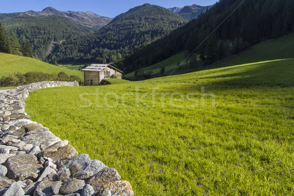 Alpine meadow, hut an mountains in Northern Italy Stock photo © haraldmuc