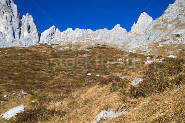 Senderismo alpes montanas piedra otono vacaciones Foto stock © haraldmuc