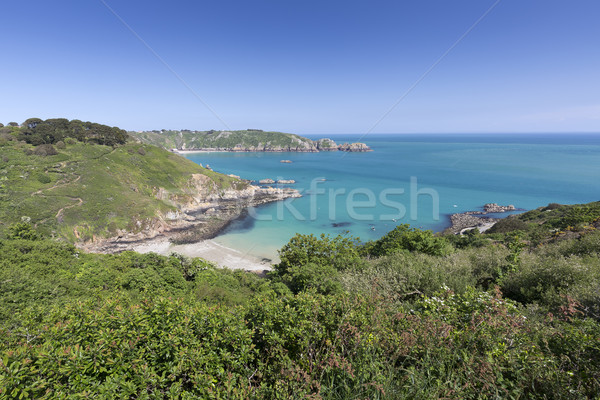 South coast of Guernsey island, UK, Europe Stock photo © haraldmuc