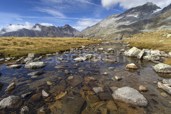 Quiet mountain stream in the north italian alps Stock photo © haraldmuc