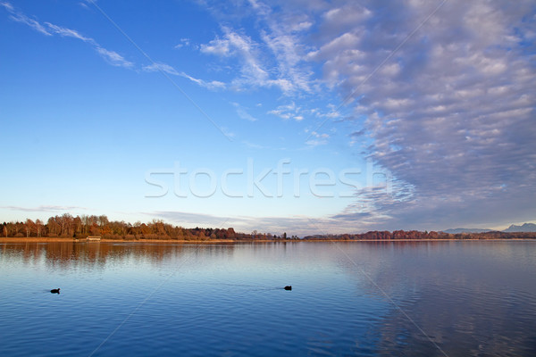 ősz tó Németország tengerpart víz tiszta Stock fotó © haraldmuc