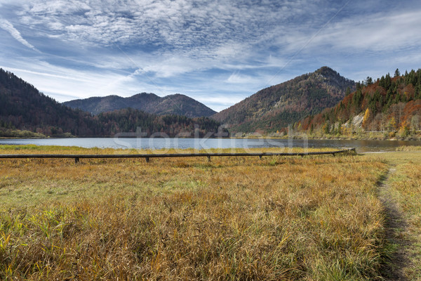 Autumn at lake 'Mittersee' in Bavaria, Germany Stock photo © haraldmuc