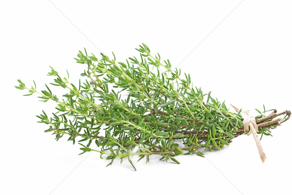 Fresh thyme herb on white Stock photo © haraldmuc