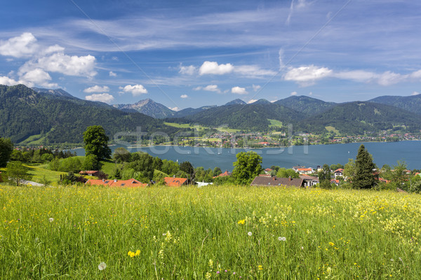 Lake Tegernsee in Bavaria, Germany, in summer Stock photo © haraldmuc