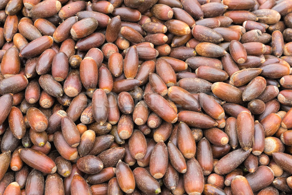 Argan nuts for sale on a market in Morocco Stock photo © haraldmuc