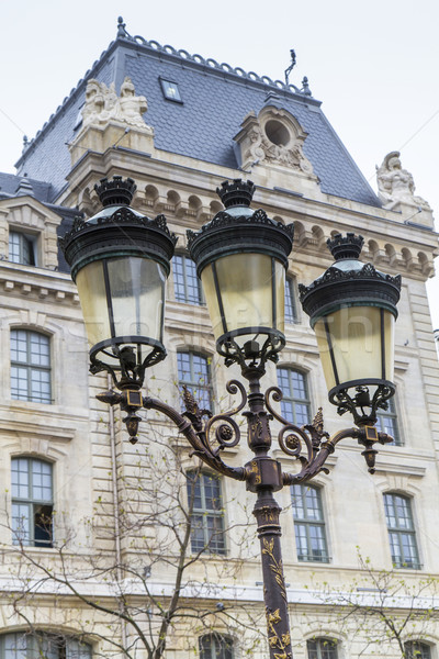 Metallic retro lamppost in Paris, France Stock photo © haraldmuc