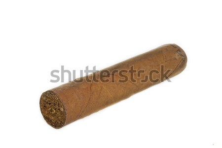 Havana brown cigar on white background Stock photo © haraldmuc