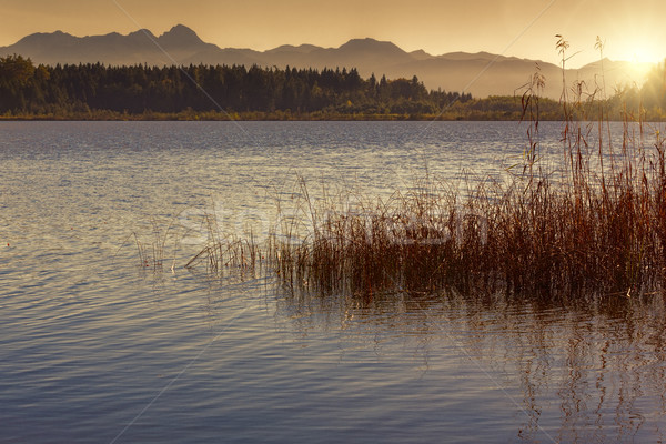 Sunset on a bathing lake in Bavaria, Germany Stock photo © haraldmuc