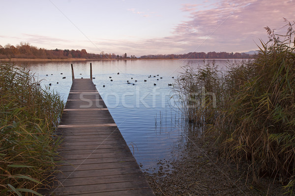 Autumn at lake Chiemsee in Bavaria, Germany Stock photo © haraldmuc