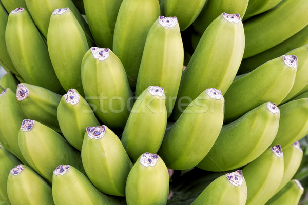 зеленый бананы можете используемый продовольствие природы Сток-фото © haraldmuc