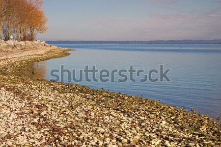 Autumn at lake Chiemsee in Bavaria, Germany Stock photo © haraldmuc