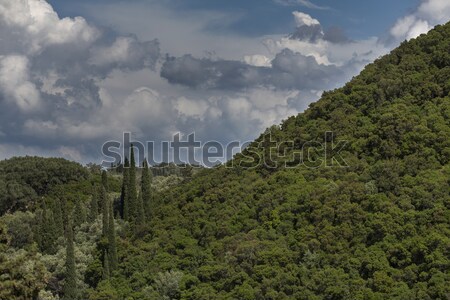Charakteristisch Vegetation Insel Griechenland bewölkt Himmel Stock foto © haraldmuc